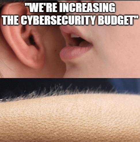 increased-budget-meme | CyberArrow Increased Cyber Security Budget Meme